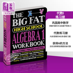 【中商原版】学霸笔记 获得A的方法练习册 代数I 高中篇 The Big Fat High School Algebra 1 Workbook 英文原版 高中数学