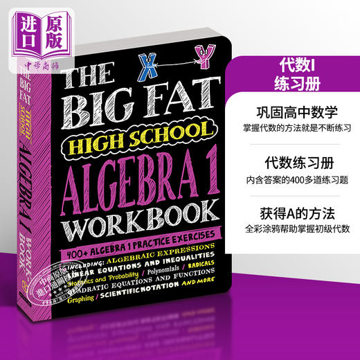 【中商原版】学霸笔记 获得A的方法练习册 代数I 高中篇 The Big Fat High School Algebra 1 Workbook 英文原版 高中数学 商品图0