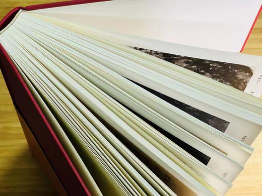 签名本！！！《金刚坡下.傅抱石》，万新华 编著，签名本，8开，精装，336页，全彩精印，江苏凤凰美术出版社2019年6月一版一印。定价680元，售价248元。 商品图1