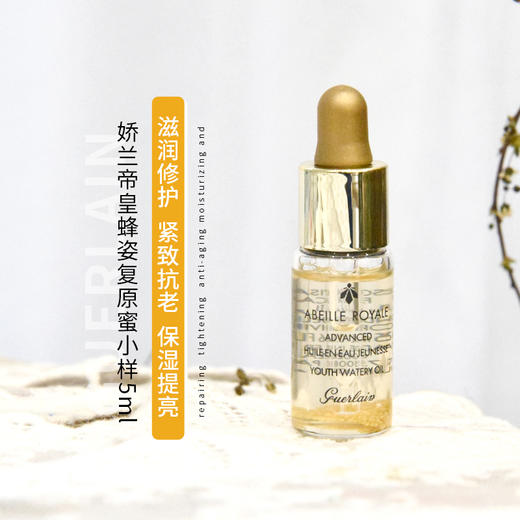 【小样】娇兰帝皇蜂姿焕活复原蜜5ml/102232 滋润修护紧致抗老 商品图1