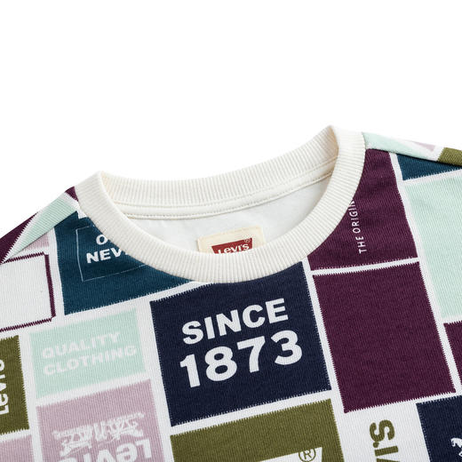 LEVIS 秋 大童小童 儿童童装卫衣 LVN-FW-J733 商品图2