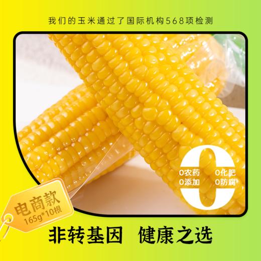 【部分地区不发货，具体看详情页】正耕 田里有草甜糯玉米10根/箱 商品图3