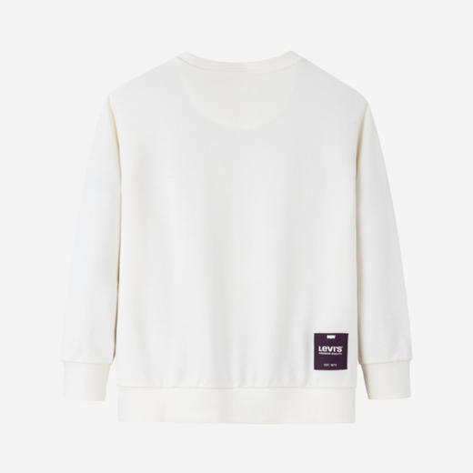 LEVIS 秋 大童小童 儿童童装卫衣 LVN-FW-J732 商品图2
