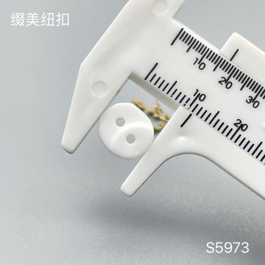 S5973(整包购买) 商品图2