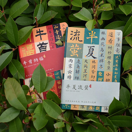 牛首山文创遇见金陵牛首纳福记事本精致笔记本创意文具毕业礼物 商品图3