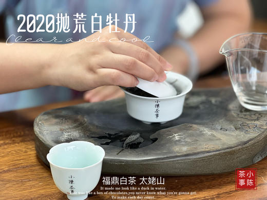 【首发】抛荒白牡丹里的“高挑美人”，无意中捂了3年，2020抛荒白牡丹却长成了温润水滑的俏佳人（80克） 商品图6