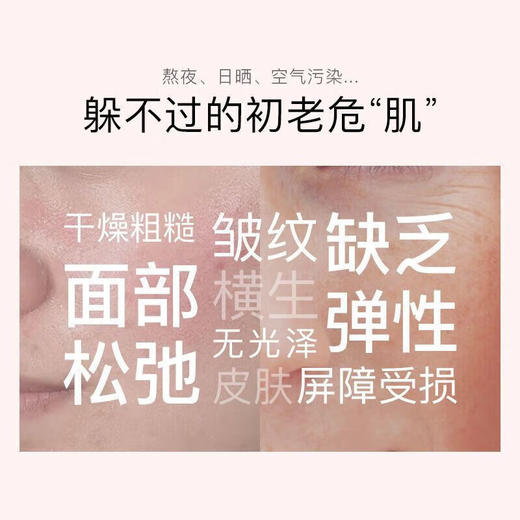 韩束多肽胶原弹嫩挚享礼盒套装(加赠一套水乳精华和面膜五片） 商品图2