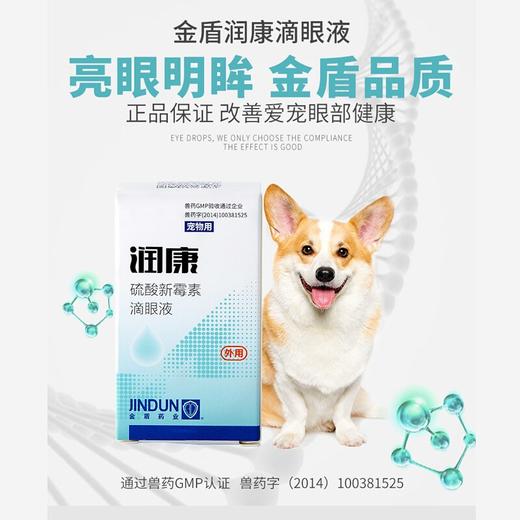金盾润康滴眼液宠物去泪痕消角膜炎猫狗眼部清洁抗菌8ml 商品图1