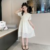 女童夏装汉服连衣裙2023新款中国风裙子夏季女孩公主裙儿童旗袍裙 商品缩略图1
