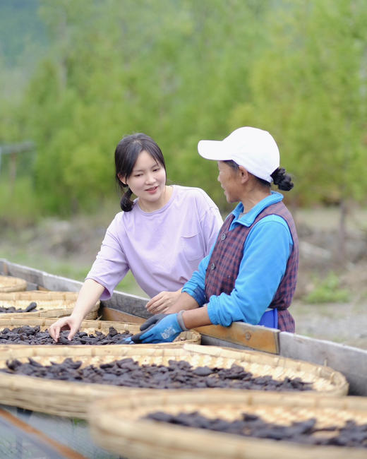 【九制熟黄精】云南雪山野生滇黄精，古法柴火九蒸九晒，吸收太阳光的能量，将黄精转阴，九制易吸收 九制易储存 九制口感佳 即食 泡水 煲汤 商品图7