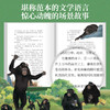 歪歪兔《足迹》沈石溪推荐！给孩子的人类进化史小说，从人类祖先的冒险历程中汲取勇气、力量与智慧 适7-99岁 商品缩略图3
