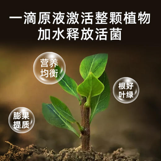 植物生长平衡液氨基酸水溶肥华垦一喷绿叶面肥植物系激活剂花卉蔬菜果树无任何激素丨微信：13739096627 商品图2