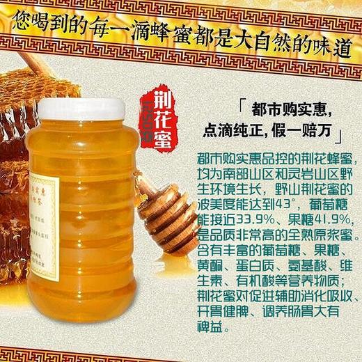 【自营】2023新蜂蜜上市 荆花蜜 商品图0