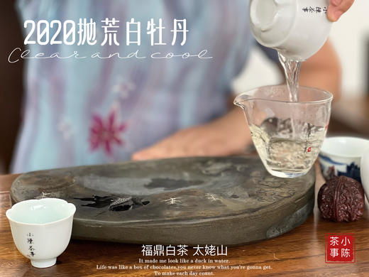 【首发】抛荒白牡丹里的“高挑美人”，无意中捂了3年，2020抛荒白牡丹却长成了温润水滑的俏佳人（80克） 商品图9