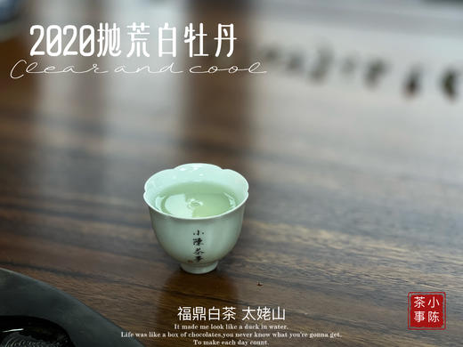 【首发】抛荒白牡丹里的“高挑美人”，无意中捂了3年，2020抛荒白牡丹却长成了温润水滑的俏佳人（80克） 商品图13