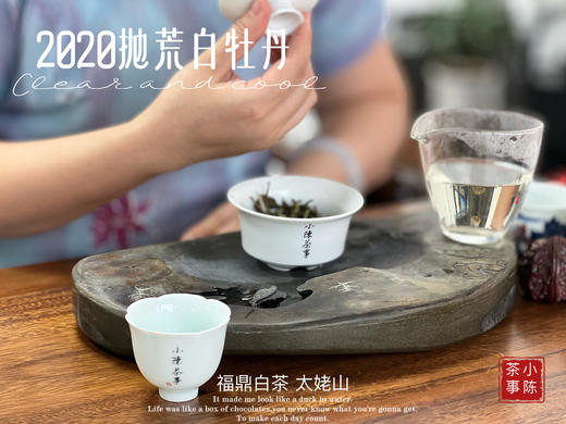 【首发】抛荒白牡丹里的“高挑美人”，无意中捂了3年，2020抛荒白牡丹却长成了温润水滑的俏佳人（80克） 商品图11