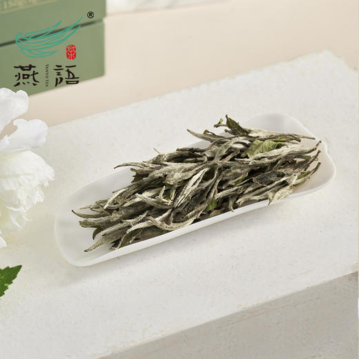 燕语2020白牡丹礼盒150g(白茶) 商品图1