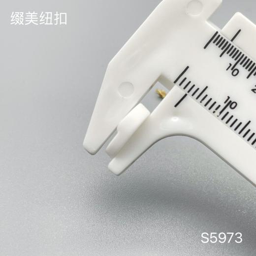 S5973(整包购买) 商品图3
