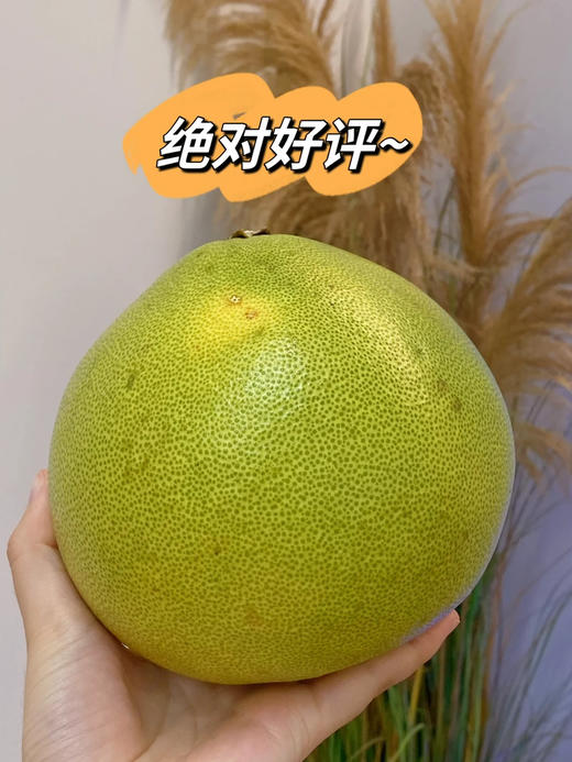 精品泰国金柚，水嫩多汁，性价比之选 商品图4