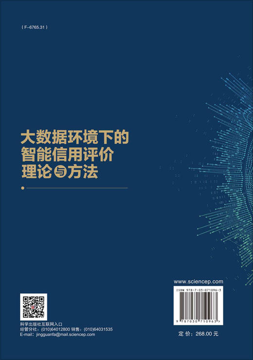 大数据环境下的智能信用评价理论与方法/蒋翠清等 商品图1