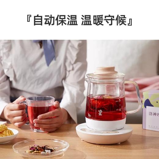 鸣盏迷你养生壶MZ-086【伊藤优选301692】 商品图1