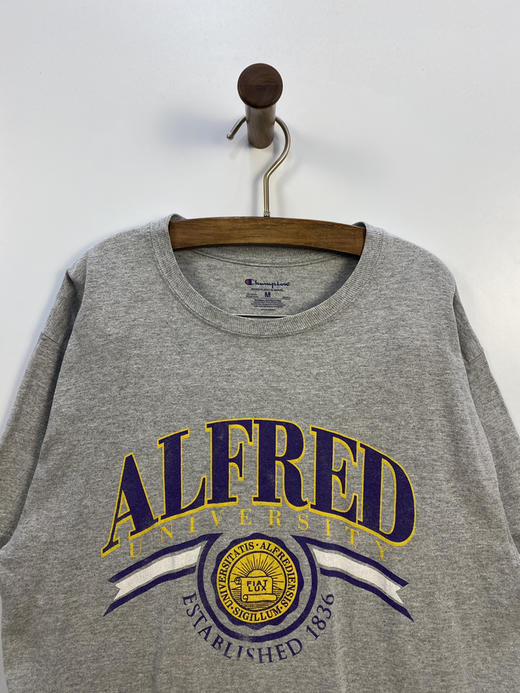 Champion 冠军 纽约 艾尔弗雷德大学 短袖T恤 _SST(M) 商品图0