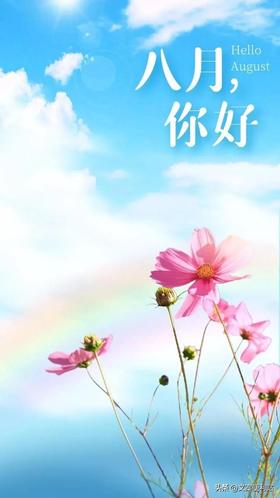8月产说会支持方案洗衣液1千克
