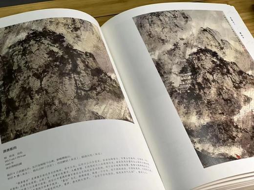 签名本！！！《金刚坡下.傅抱石》，万新华 编著，签名本，8开，精装，336页，全彩精印，江苏凤凰美术出版社2019年6月一版一印。定价680元，售价248元。 商品图8