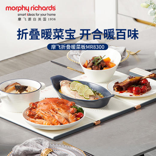 摩飞一代暖菜板MR8300【伊藤优选301692】 商品图0