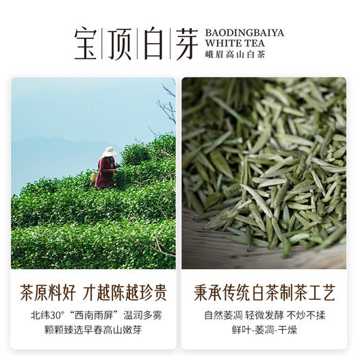 宝顶白芽茶高山白茶一级2020年白毫银针礼盒装50g 商品图3