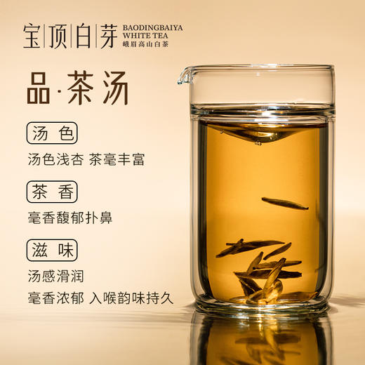 宝顶白芽茶高山白茶一级2020年白毫银针礼盒装50g 商品图5
