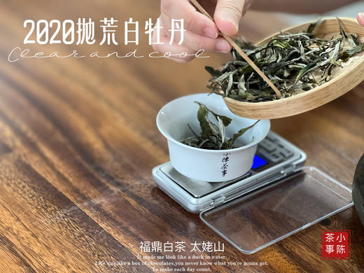 【首发】抛荒白牡丹里的“高挑美人”，无意中捂了3年，2020抛荒白牡丹却长成了温润水滑的俏佳人（80克） 商品图4