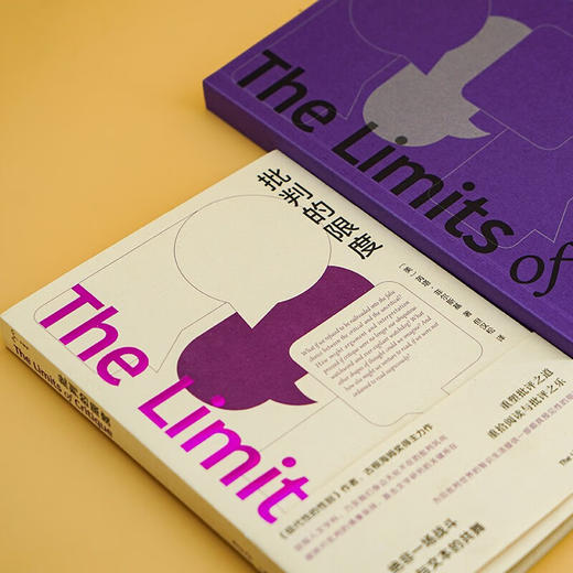 批判的限度 芮塔·菲尔斯基 著 文学 商品图1