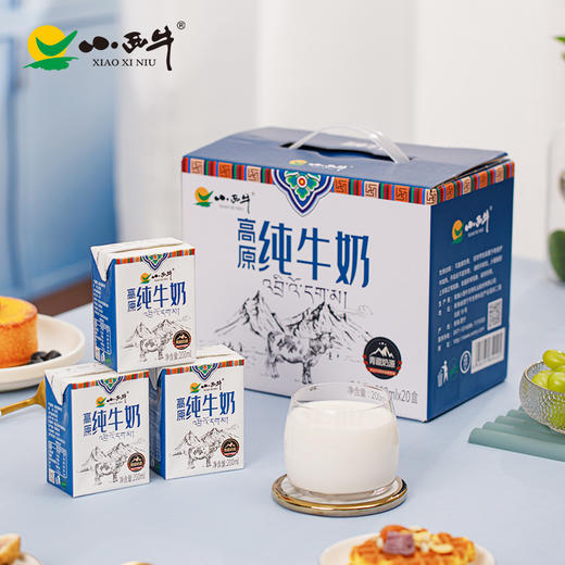 【光明&小西牛】青海纯牛奶青藏高原全脂纯牛奶整箱儿童学生早餐奶200ml*20盒 商品图7