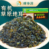 有机地皮菜地达菜地衣婵乡源有机地耳地达菜100g甘肃特产 商品缩略图0
