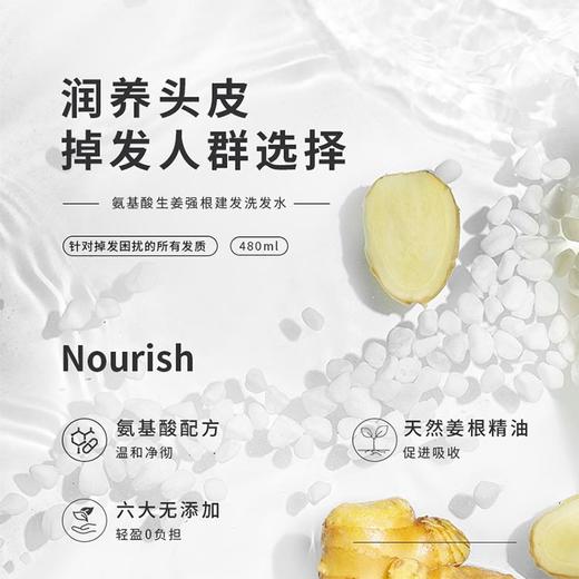 巴登魔瓶 氨基酸生姜强根健发洗发水单瓶（480Ml)老姜汁防去屑止痒脱控油强根 商品图1