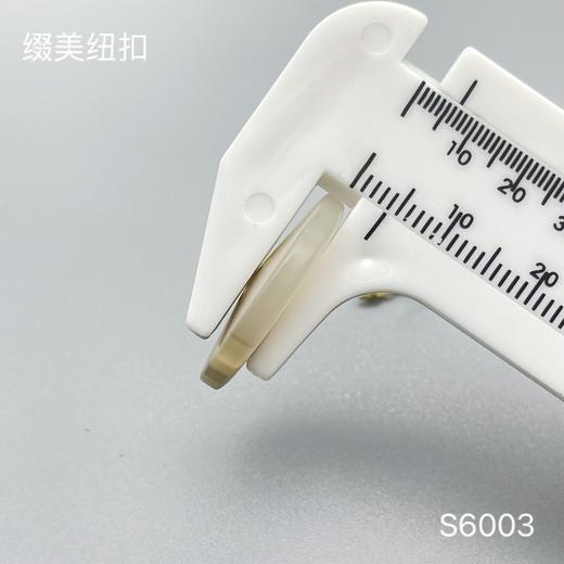 S6003(整包购买) 商品图5