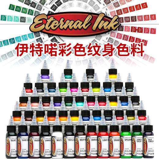 伊特喏纹身色料套装彩色全套正品墨水易上色颜料惊蛰刺青 商品图0
