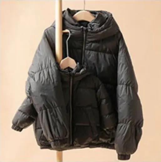 hasnono 成人款鹅绒服羽绒服（不支持退换） [福利品] 商品图1