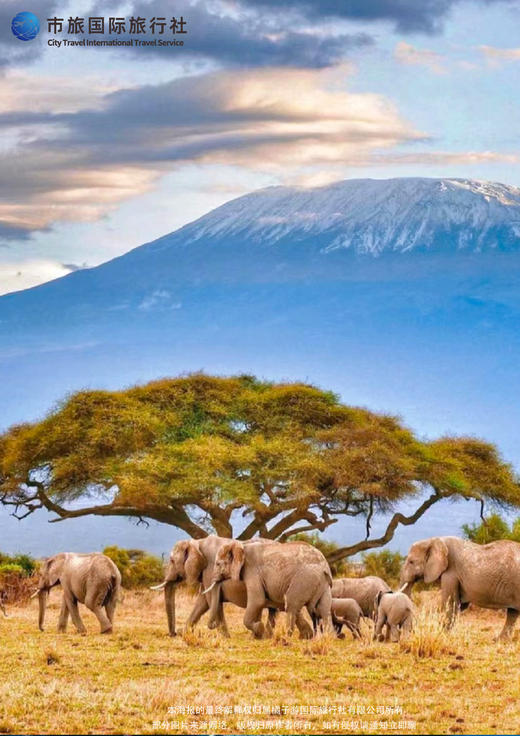 【国庆】南非克鲁格+花园大道 12 天（深圳往返） 商品图3