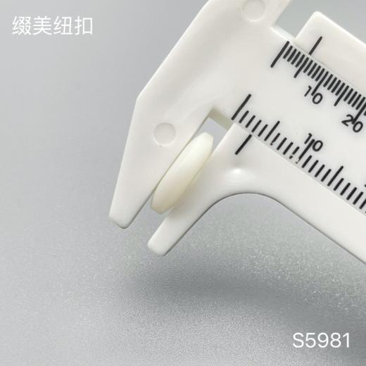 S5981(整包购买) 商品图5