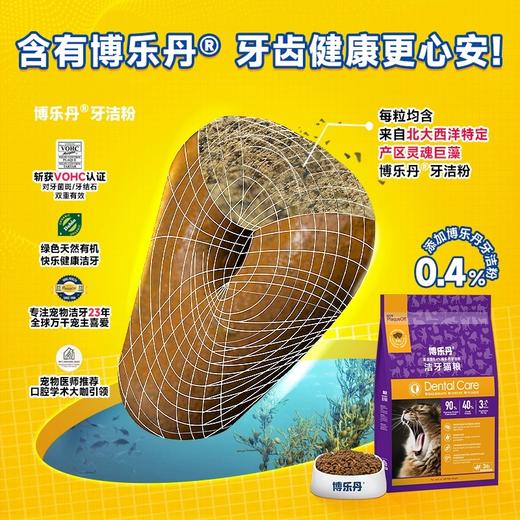 猫研所 博乐丹洁牙猫粮1.36kg 多口味 商品图1