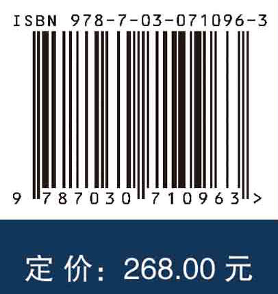 大数据环境下的智能信用评价理论与方法/蒋翠清等 商品图2