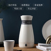 摩飞便携电水壶0.5LMR6080【伊藤优选301692】 商品缩略图2