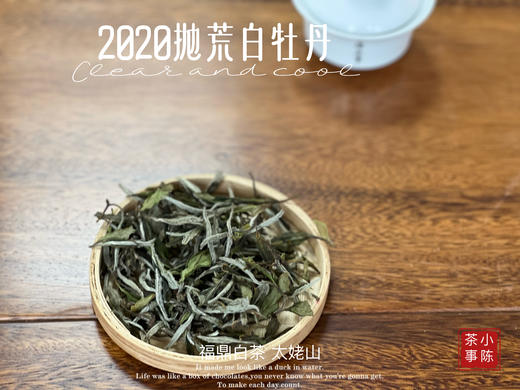 【首发】抛荒白牡丹里的“高挑美人”，无意中捂了3年，2020抛荒白牡丹却长成了温润水滑的俏佳人（80克） 商品图1