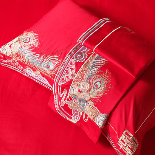 多喜爱 喜玫瑰婚庆床上用品十件套 东方喜事cs 商品图3