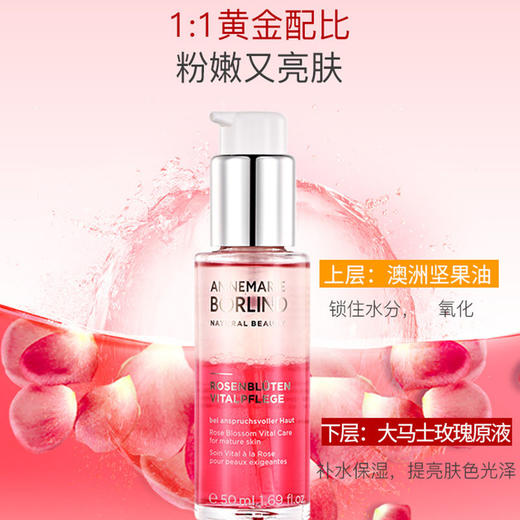 德国安娜柏林 ANNEMARIE BORLIND 玫瑰蜜原液精华 50ML【保税直发】 商品图3