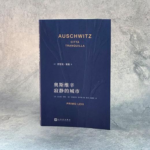 奥斯维辛：寂静的城市 商品图1