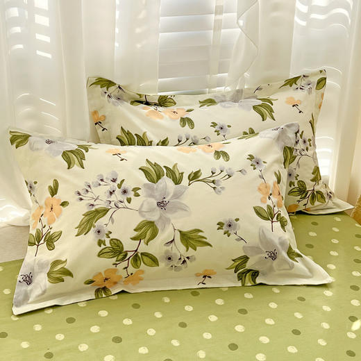 【热卖推荐】自然醒全棉床上四件套100纯棉小清新被套床笠宿舍卡通床单三件套床品NH128 商品图3