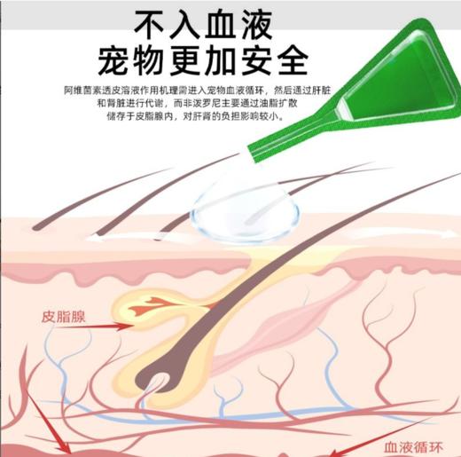 新宠之康贝驱狗狗体外驱虫驱跳蚤虱子蜱虫药犬用非泼罗尼滴剂1支 商品图2
